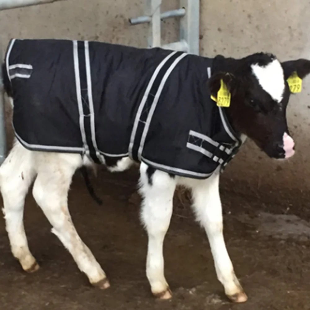 Hot Sale Waterproof And Cold Calf Vest Warm Calf Coat Thickened Calf