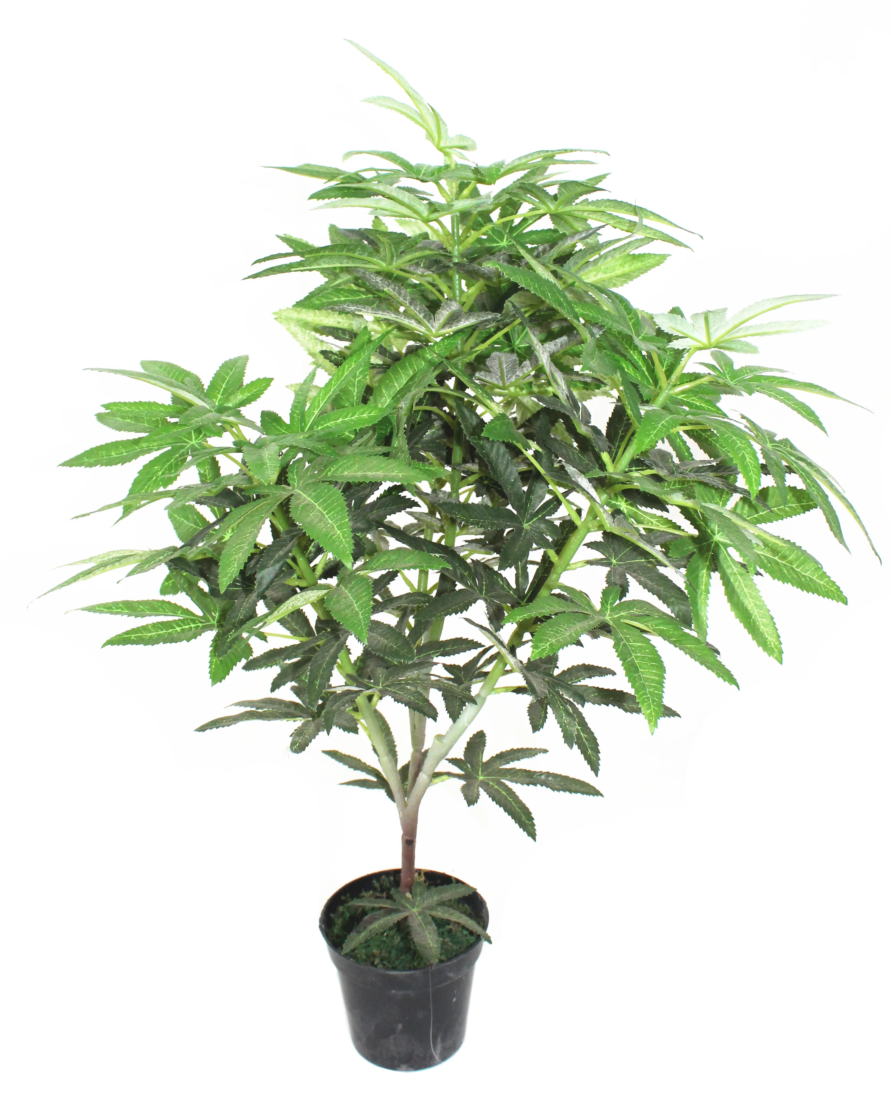Wholesale Artificial Canabis Plant Plastic Cannabis Plant