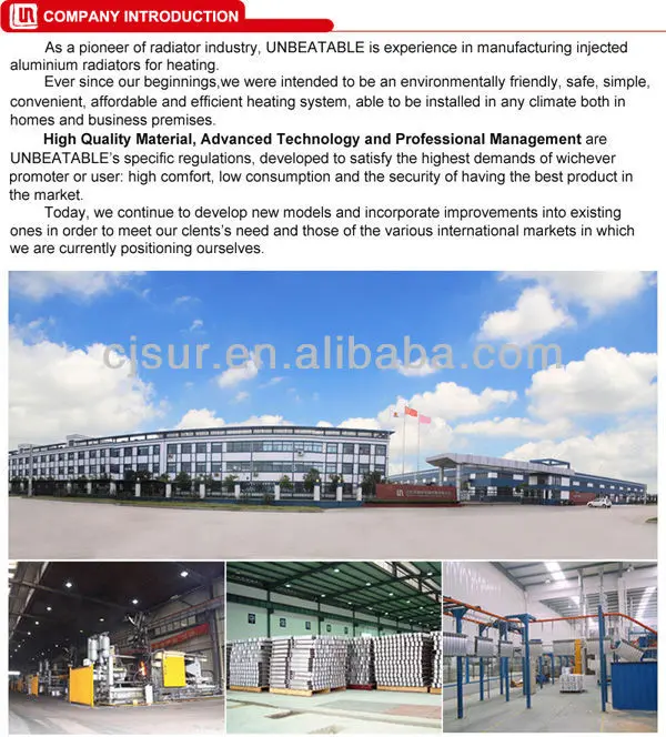 company introduction.jpg