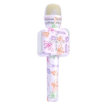 mic with speaker for kids