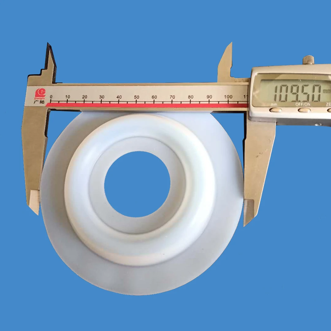 GM70 PTFE diaphragm details