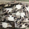 China Frozen Blue Swimming Crab For Sale