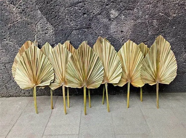 Wholesale Dried Fan Palm Leaves For Wedding Decoration