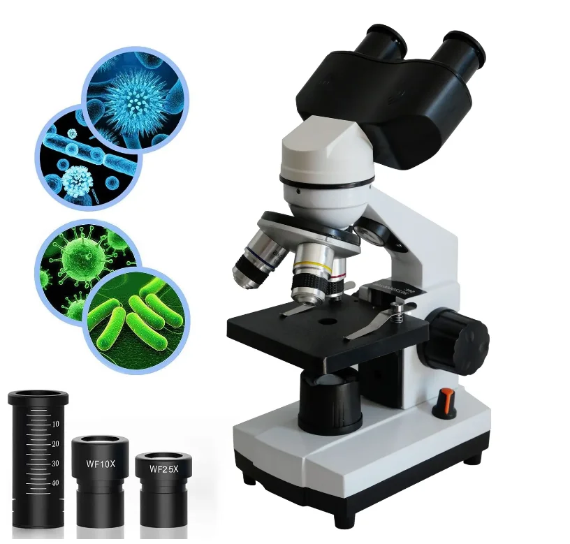 Customized Laboratory Microscope Binocular Light Source Adjustable ...