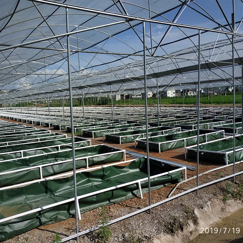 aquaponics complete system typical engineering fish farm