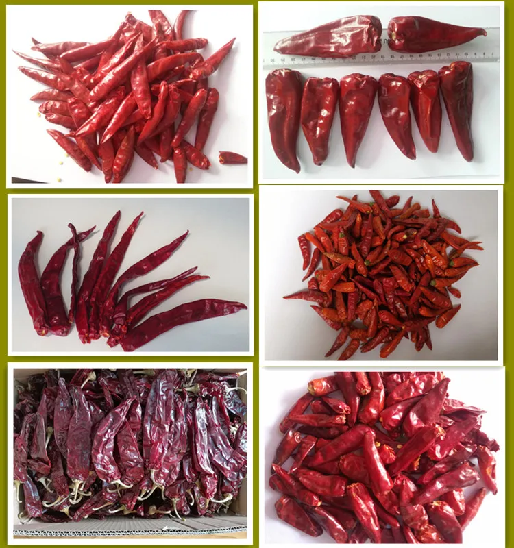sanying chilli_