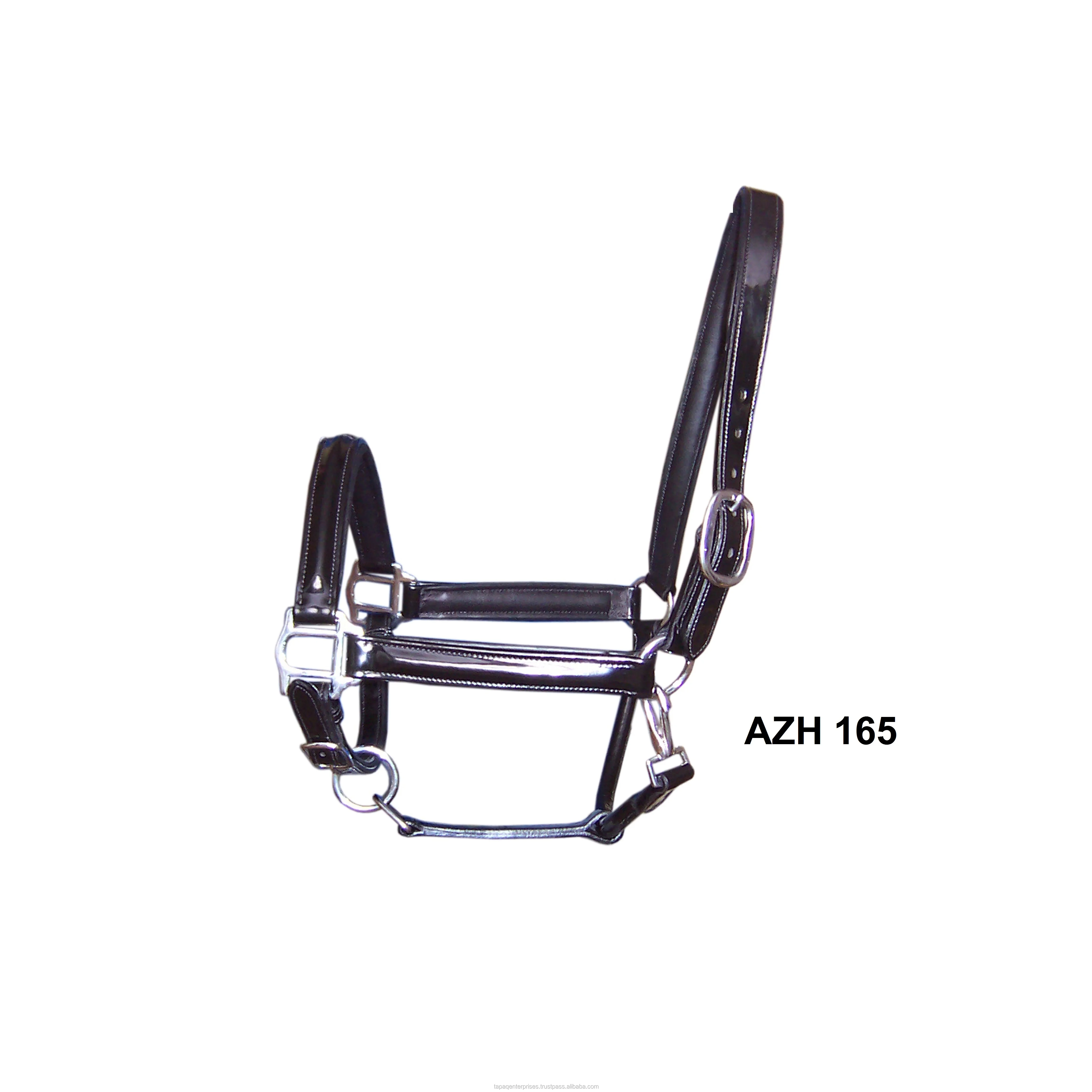 AZH 165.jpg