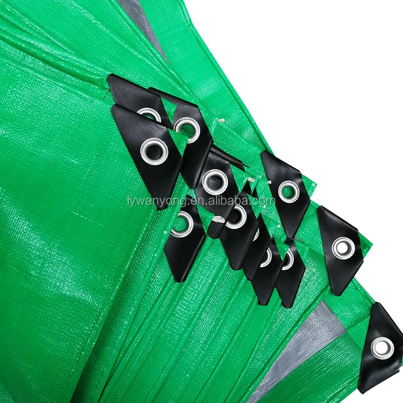 Green tarp 1.jpg