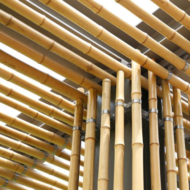 bamboo11.jpg