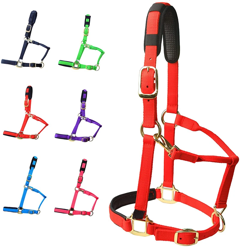 Wholesale Equestrian Products Hors Halters Long Lasting Fine Horse