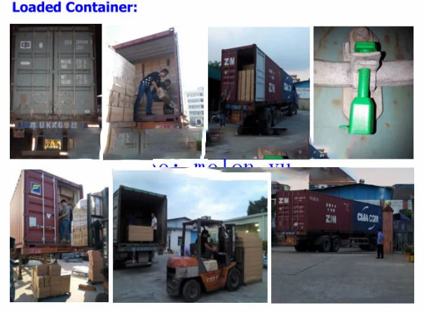 paste-pic-dp_uuid_7710x