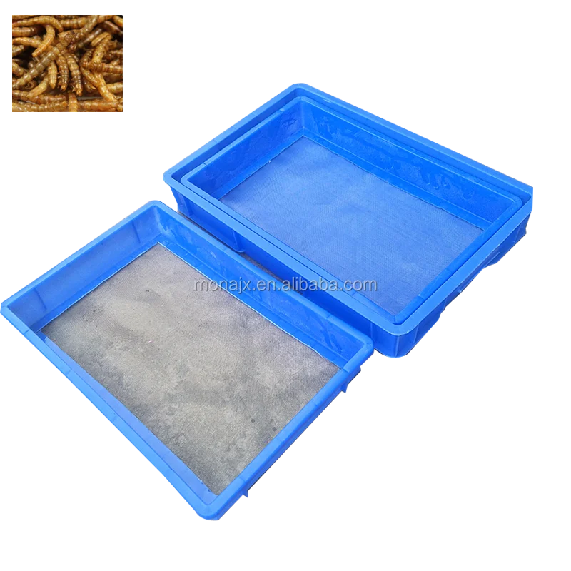 Mealworm Food Case Tenebrio Molitor Box For Sale Buy Mealworm