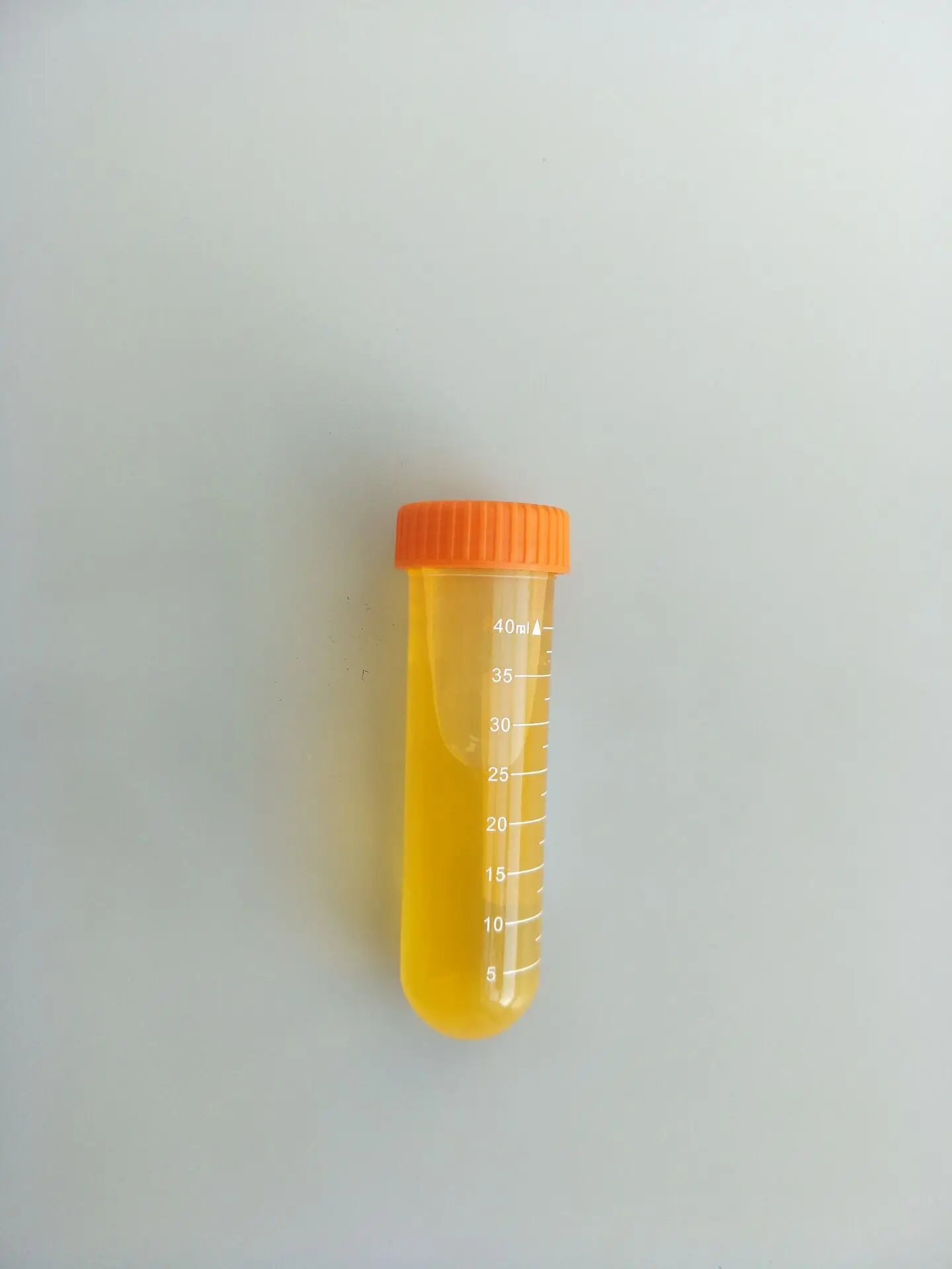 Watersafe Rapid Coliform Bacteria Test Kit One Step Test Device