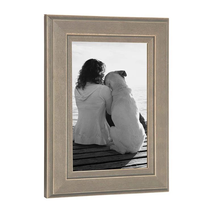 Pack of 6 Distressed Gray 4x6 Solid Wood Picture Frames