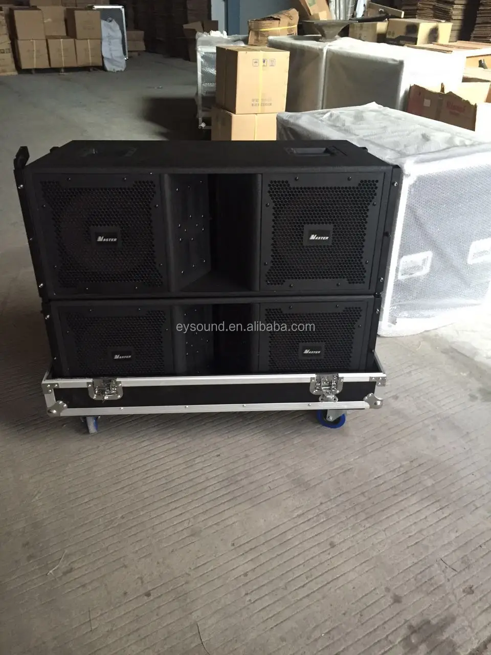 VT4888  with case.jpg