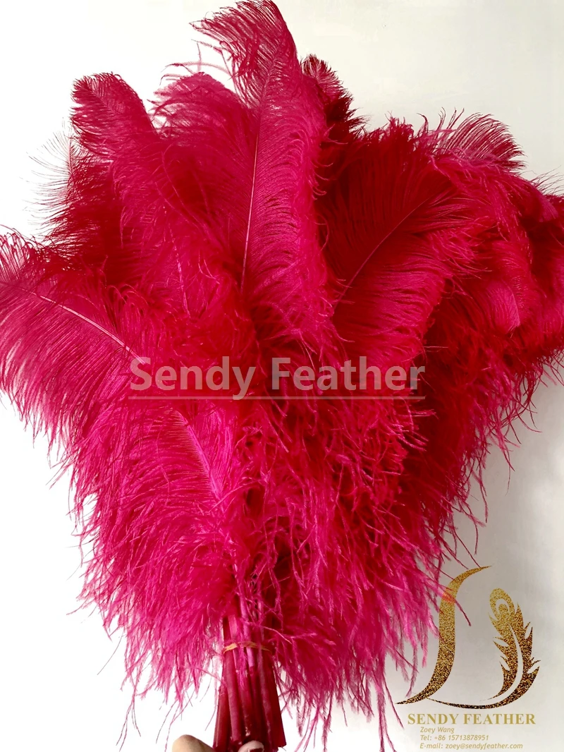 Wholesale Ostrich Feathers Great For Crafts Wedding Party Home ...