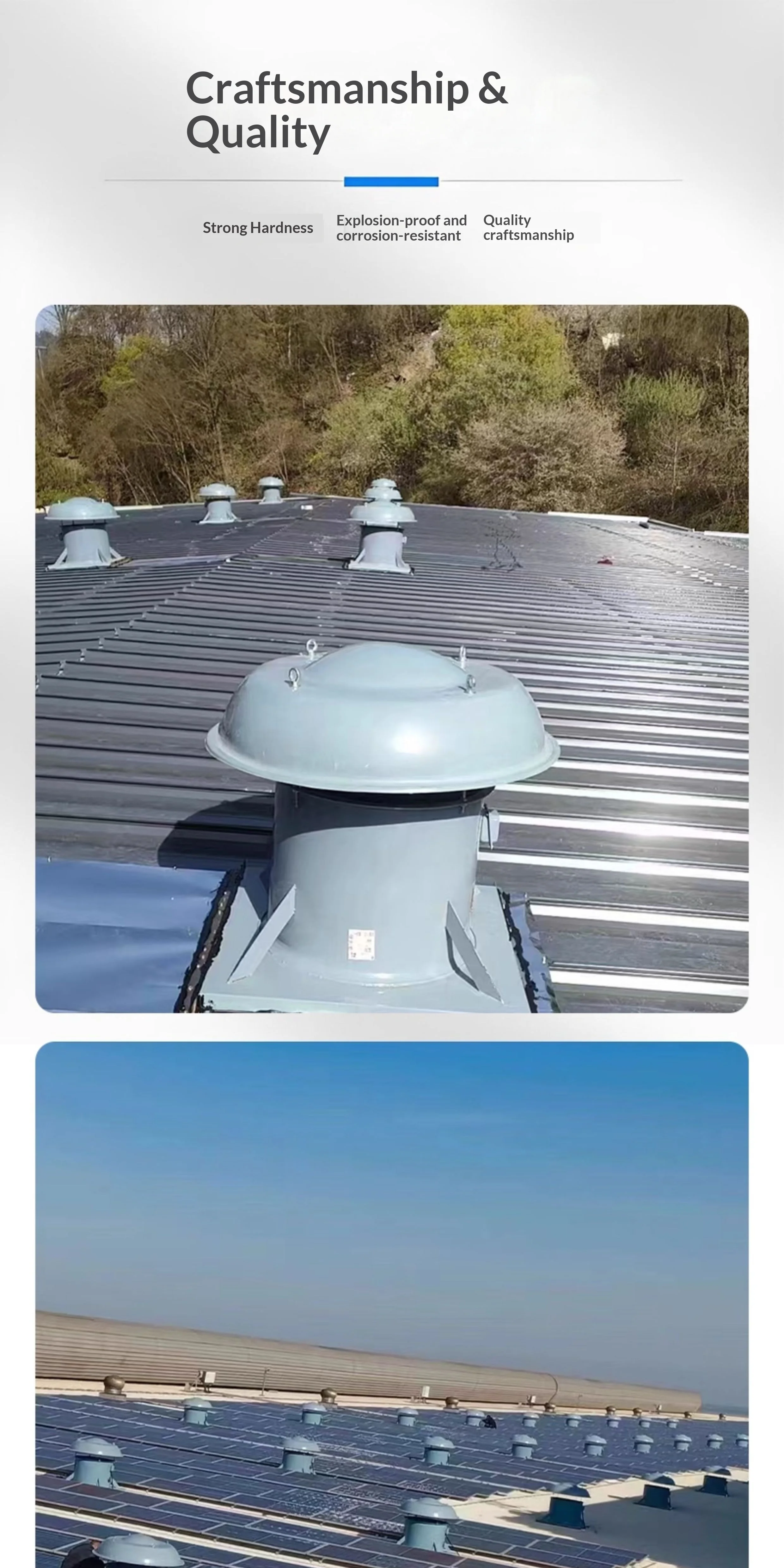 Axial Flow Fan, Explosion-proof, Roof - detail 14