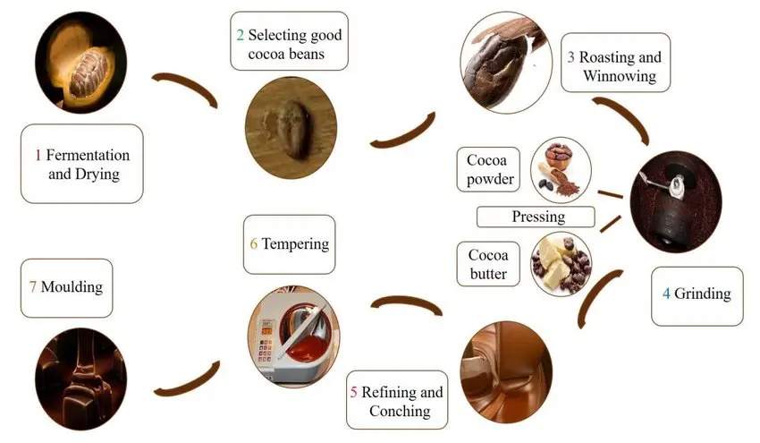 Chocolate-making-process.png