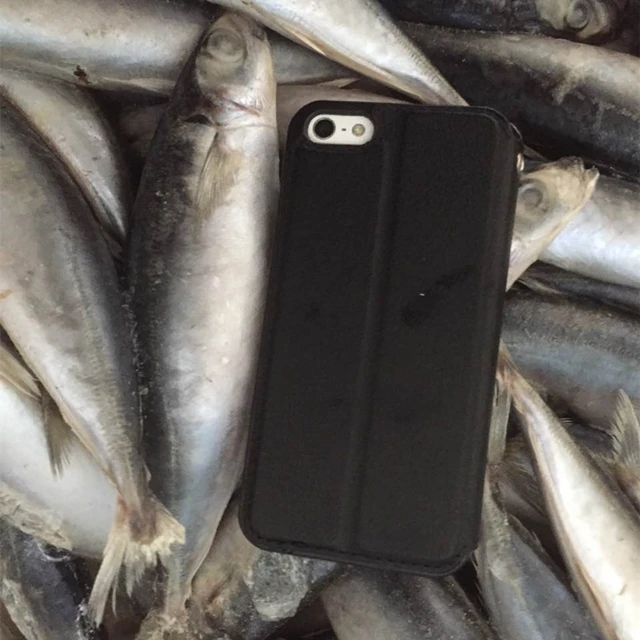 高标准的优质鱼马鲭鱼新鲜鱼片