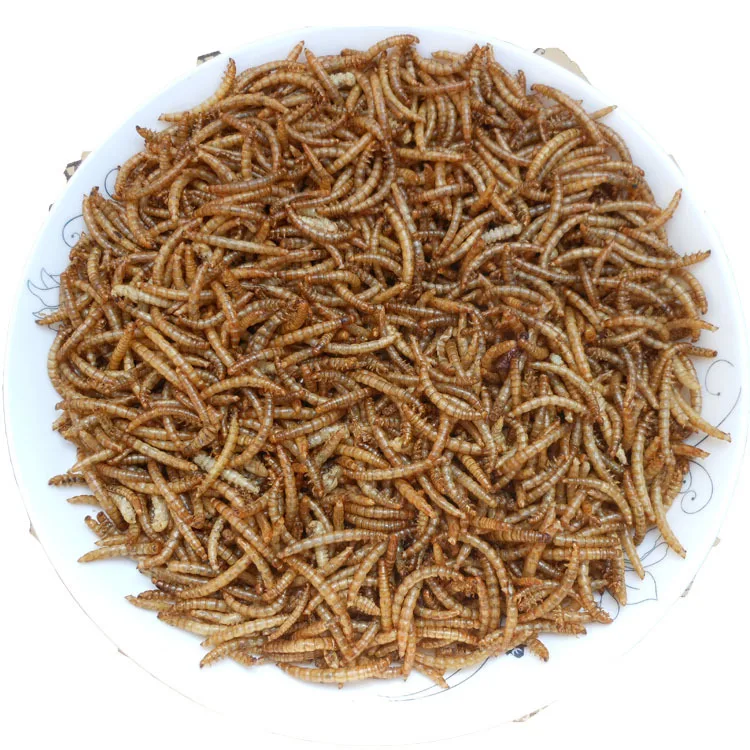 50% high protein natural dried mealworm