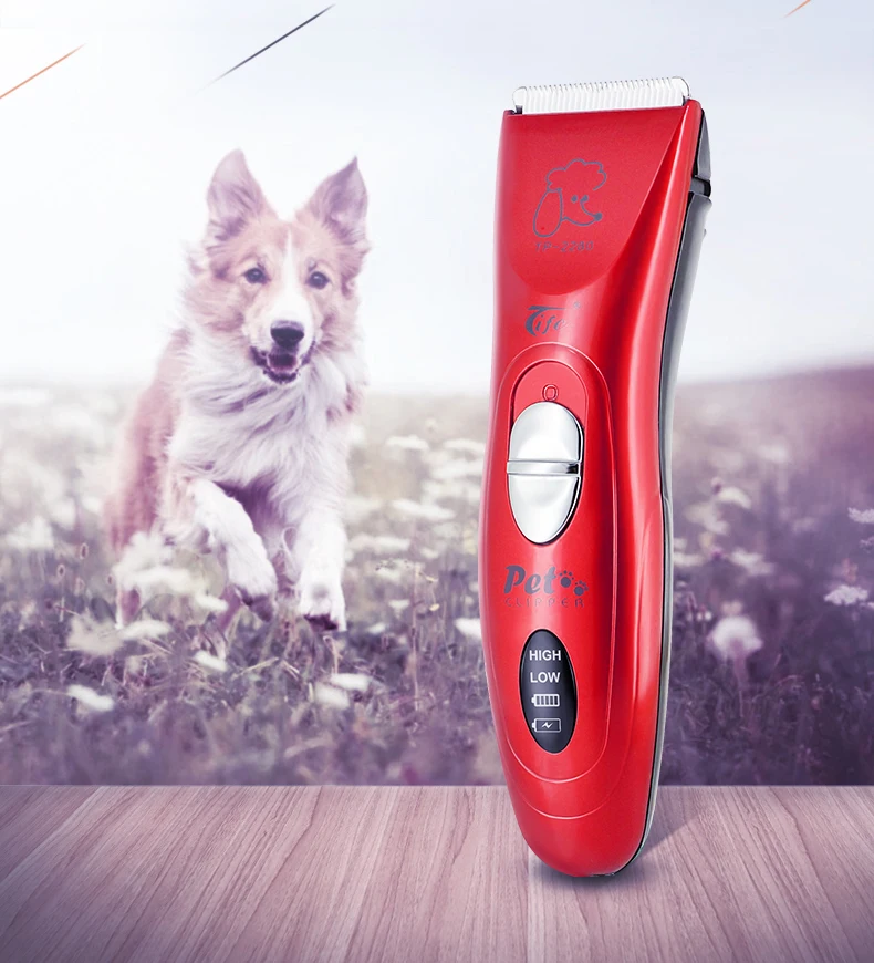 large dog grooming kit