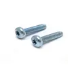 DIN7500C Torc Pan Head Raised Cheese Head Screw Thread Forming Screw M2.5 M3 M4 M5 M6