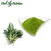 100% natural Spinach Powder No Additives rapidly delivery in bulk