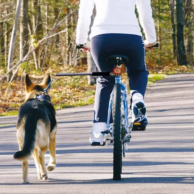 Die Gleiche Amazon Style Fahrrad Hunde Leine Laufen Sport