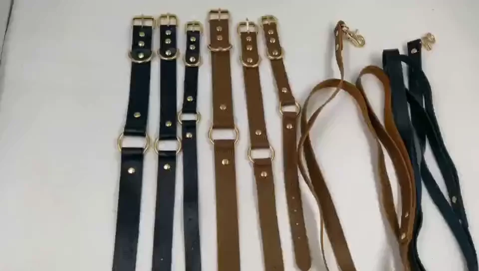 Rope Dog Leash Lead Pet Strong Heavy Duty Dog Training Leash Lead Rope