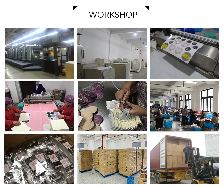 paste-pic-dp_uuid_5rl6m