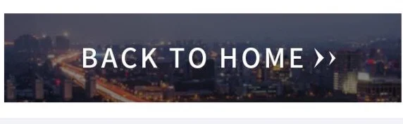 Mzd Wl Engine Cylinder Liner