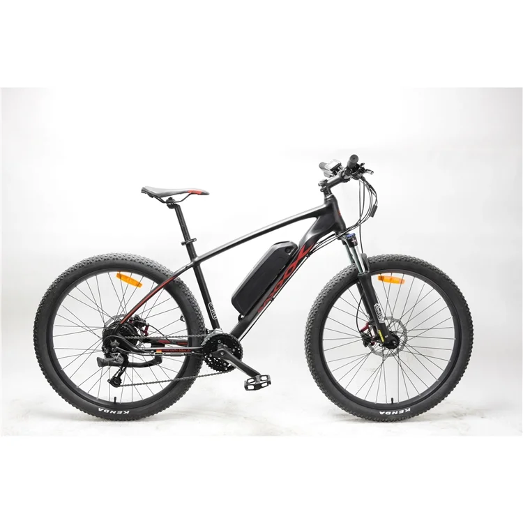 buy e bicycle online