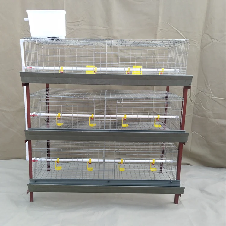 brolier chicken cage