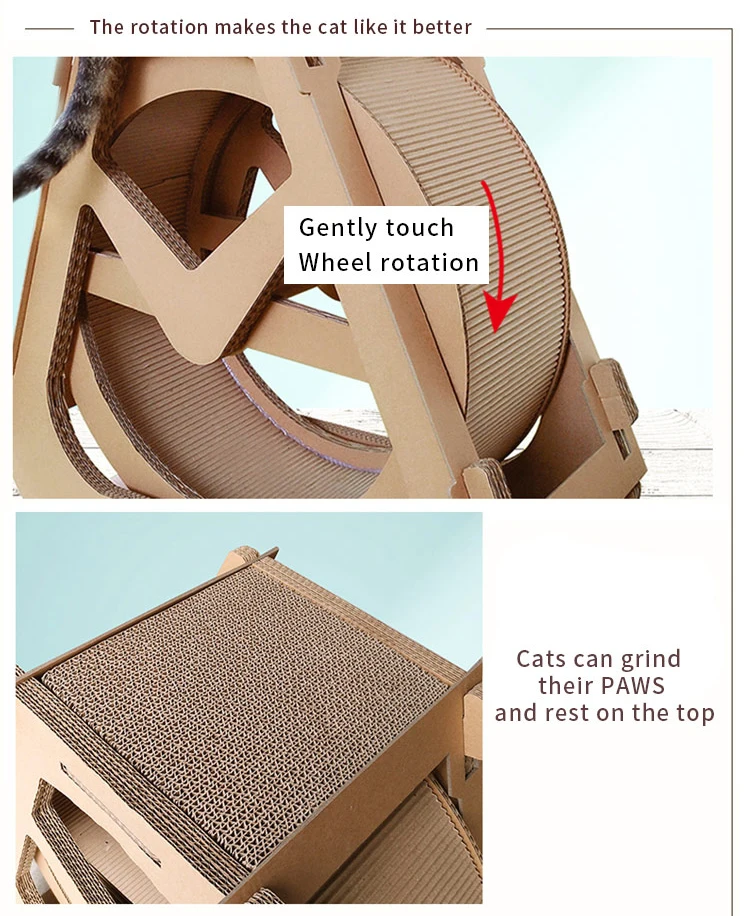 cat wheel toy