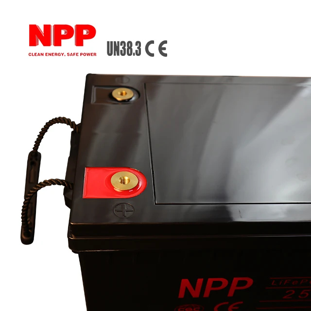 Npp 25 6v 100 Ah Lifepo4 Battery Pack Lithium Iron Phosphate Battery For Solar Storage 100ah