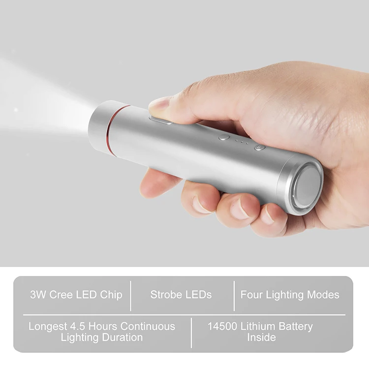 China bear gay gifts