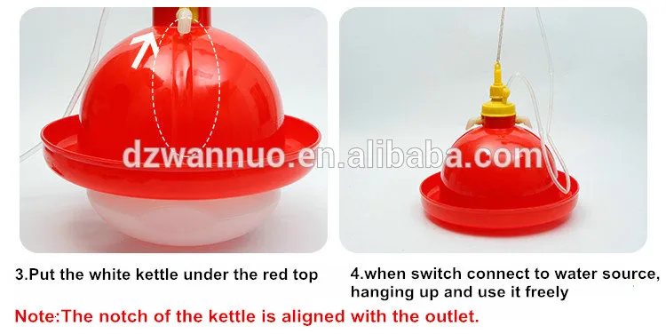 chicken plasson drinker