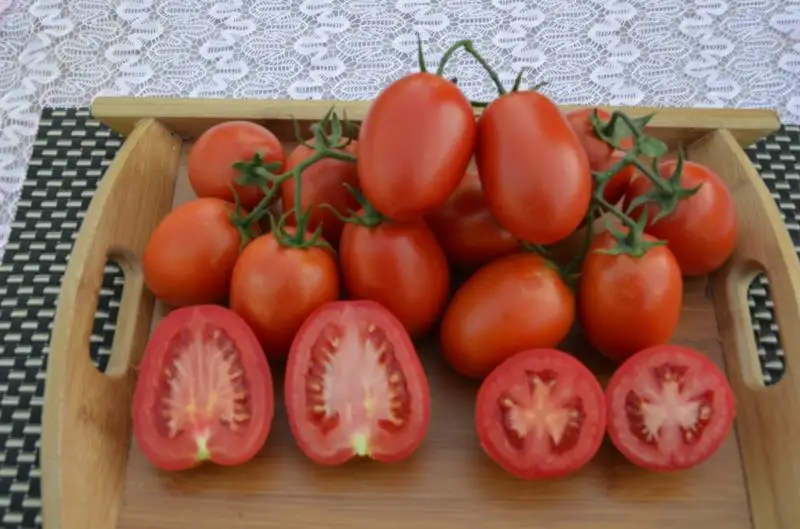 Купить томаты от производителя. Израильские помидоры. Томат израильский. Помидоры в Израиле. Крупные красные помидоры овальные.