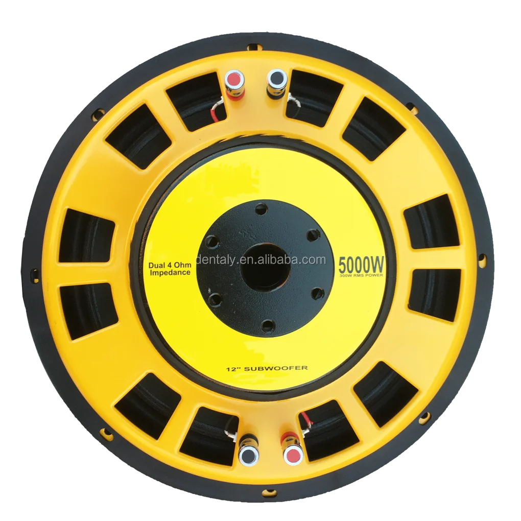 10 /12 Inch 300w Rms Power Slim Subwoofer For Car With Big Flat Dust