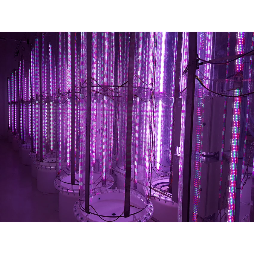 led Alage growing system.jpg