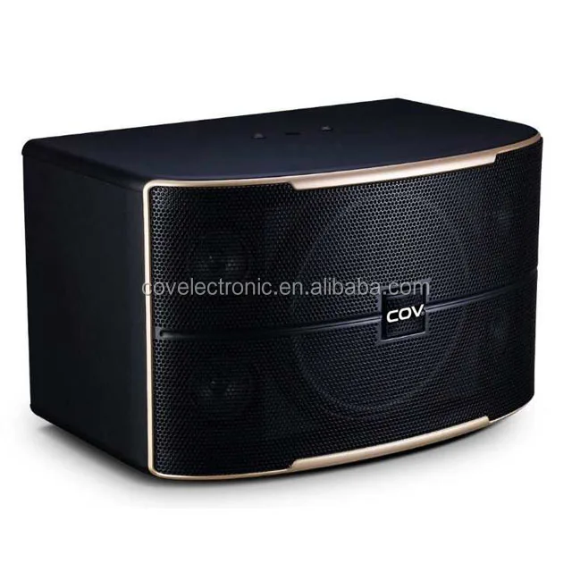 speaker karaoke 10 inch