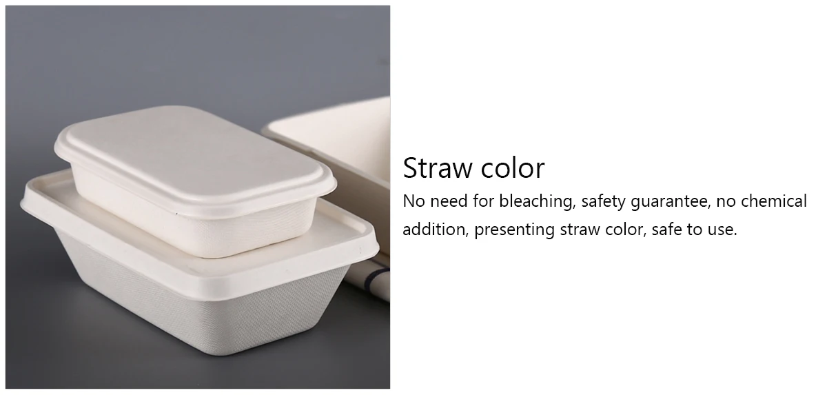 Sugar Cane Box With Lid Environmentally Friendly Microwave Food