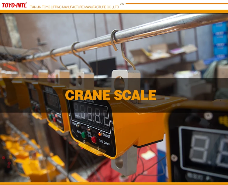 CRANE-SCALE_01.jpg