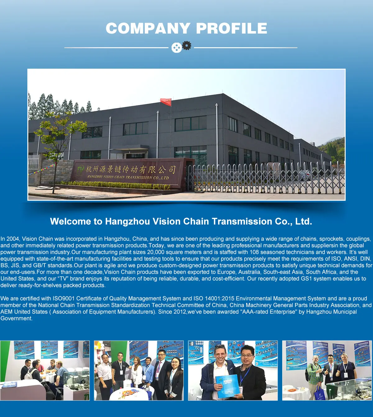 Hangzhou Vision Chain Transmission Co Ltd Conveyor Chain Driving Chains