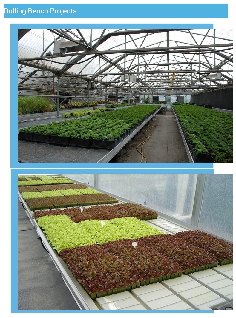 4x8 Grow Tables Plastic Grow Tables Grow Tables Ireland Rolling Greenhouse Benches For Sale In Israel