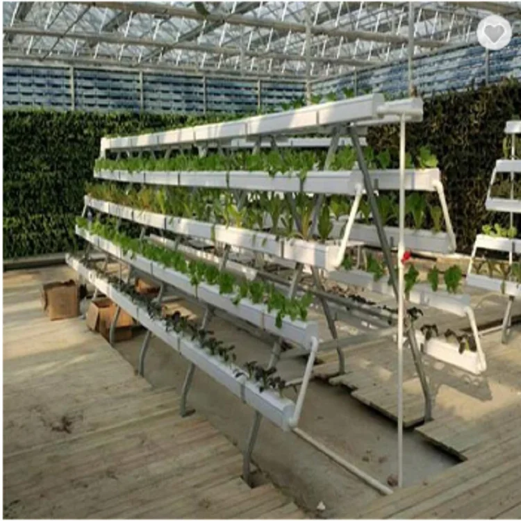 Hot Sale Greenhouse Hydroponics NFT system for agriculture