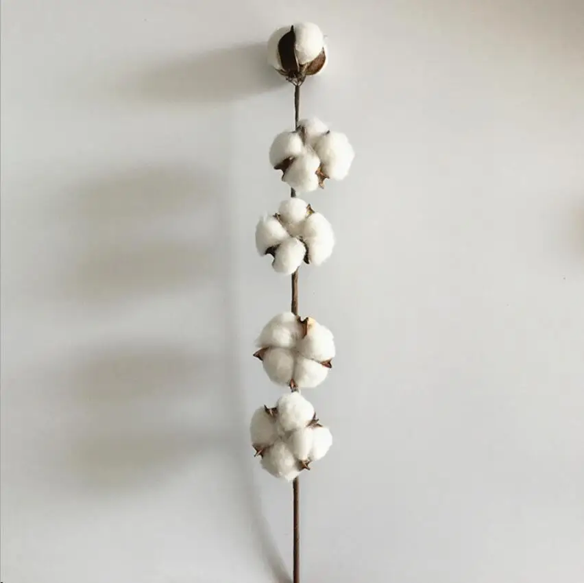 home decoration artificial long stem dried natural cotton flower