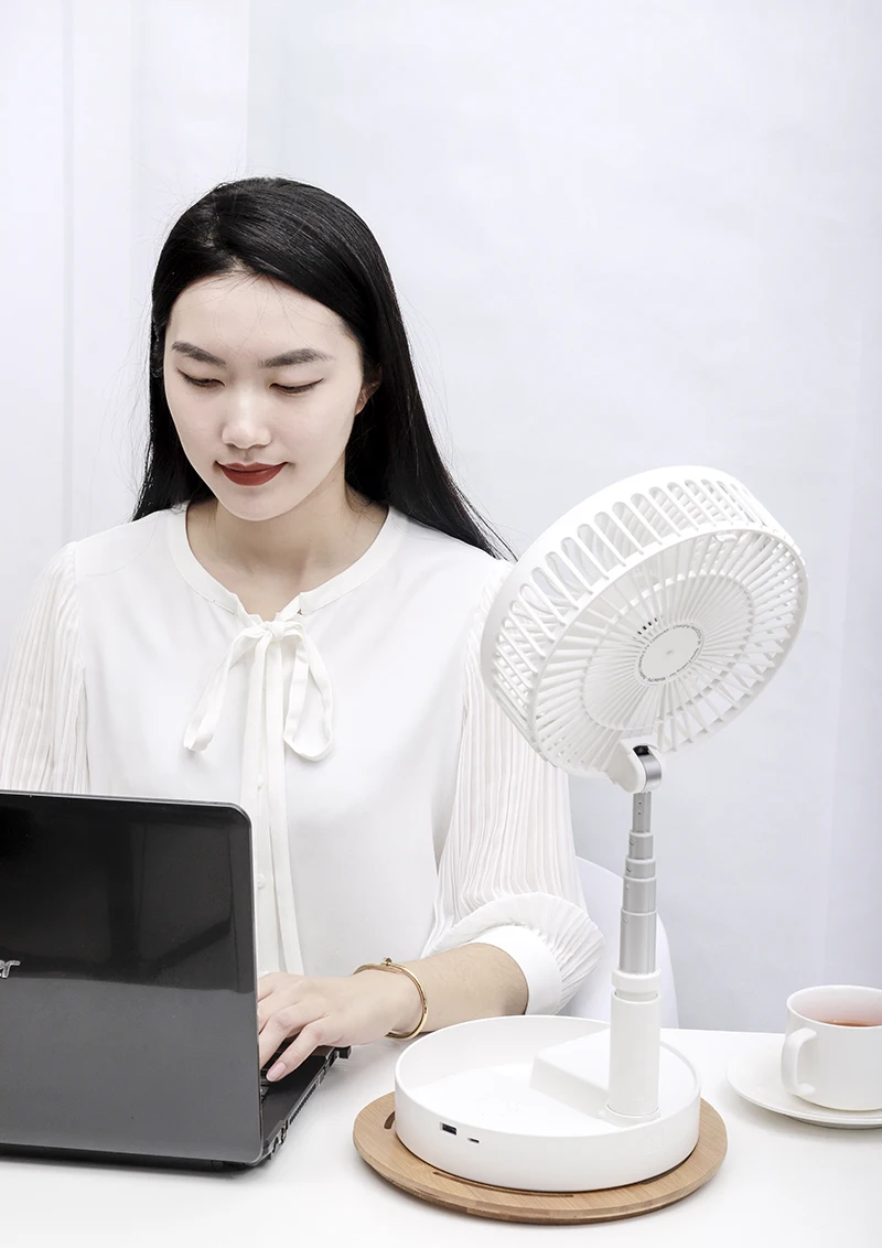 Telescopic fan (2).JPG