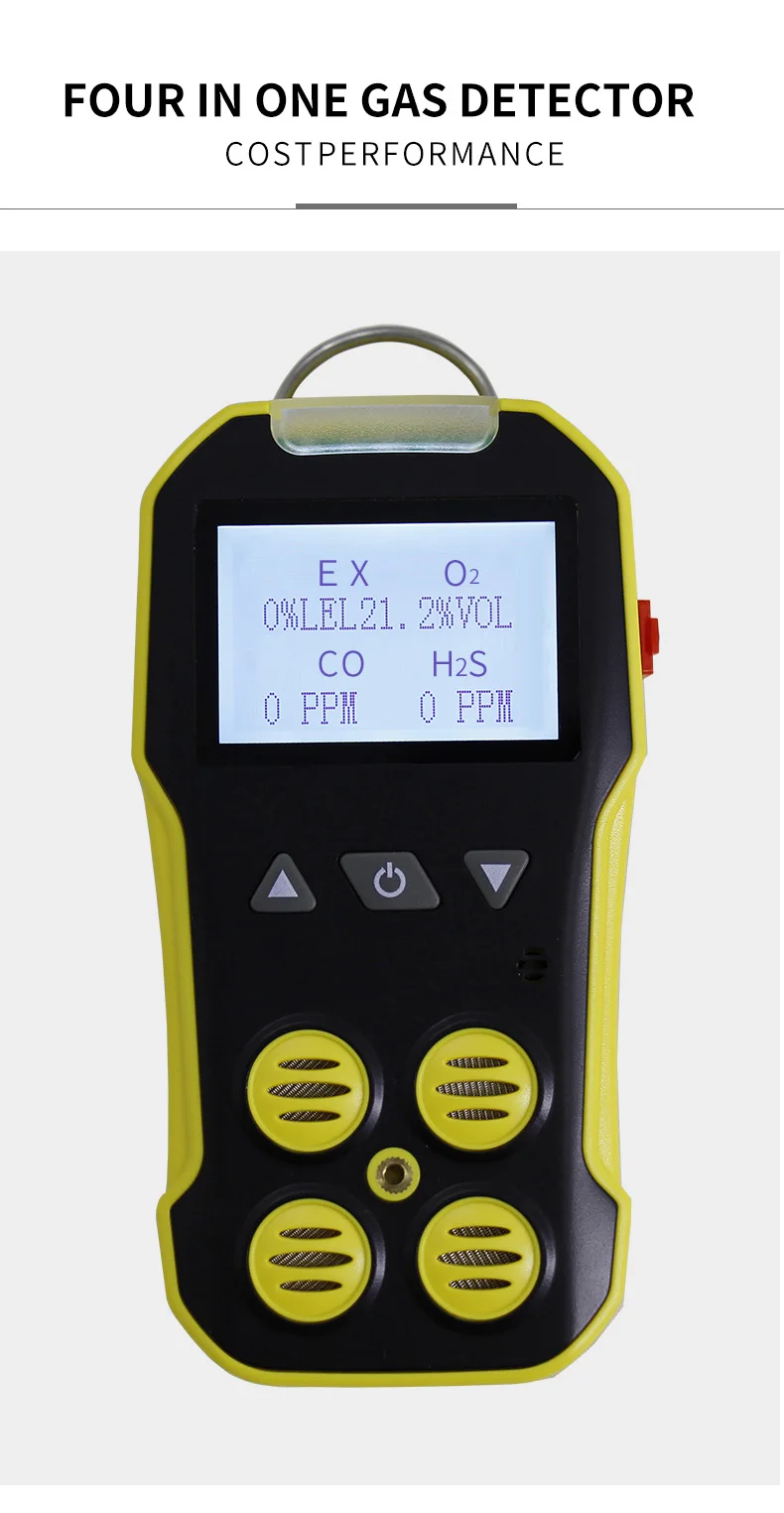 4 In 1 Portable Multi Flue Gas Leak Detector Biogas Analyzer With External Sampling Pump Buy Multi Gas Detector Portable Gas Detector Handheld Product On Alibaba Com