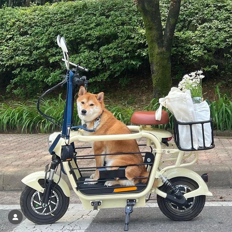 Customization Friendly Pet Scooter 500w Motor Good Selling Ebike Electric  Bike With Dog Carrier Dog Hot Selling Electrical Bike